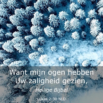 Picture 03 - Lukas 2:30 NLD - Want mijn ogen hebben Uw zaligheid - Bible Verse Picture