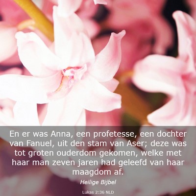 Picture 03 - Lukas 2:36 NLD - En er was Anna, een profetesse, een dochter van - Bible Verse Picture