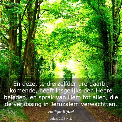 Picture 03 - Lukas 2:38 NLD - En deze, te dierzelfder ure daarbij komende, - Bible Verse Picture