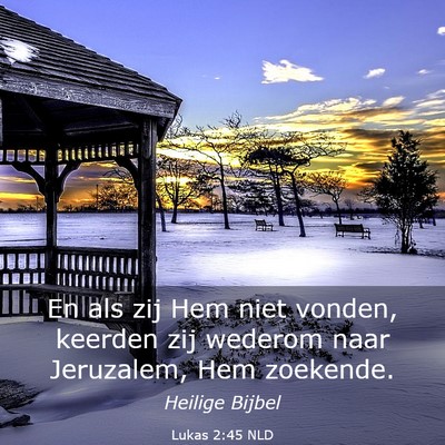 Picture 03 - Lukas 2:45 NLD - En als zij Hem niet vonden, keerden zij wederom - Bible Verse Picture