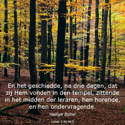 Picture 03 - Lukas 2:46 NLD - En het geschiedde, na drie dagen, dat zij Hem - Bible Verse Picture