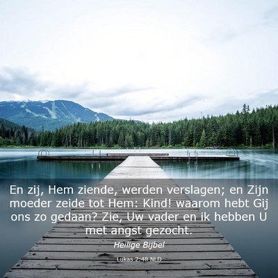 Picture 03 - Lukas 2:48 NLD - En zij, Hem ziende, werden verslagen; en Zijn - Bible Verse Picture