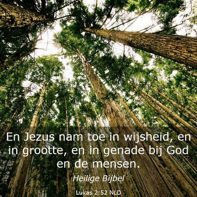 Picture 03 - Lukas 2:52 NLD - En Jezus nam toe in wijsheid, en in grootte, en - Bible Verse Picture