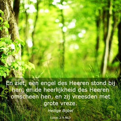 Picture 03 - Lukas 2:9 NLD - En ziet, een engel des Heeren stond bij hen, en - Bible Verse Picture