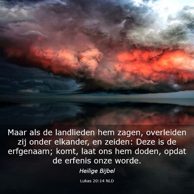 Picture 03 - Lukas 20:14 NLD - Maar als de landlieden hem zagen, overleiden zij - Bible Verse Picture