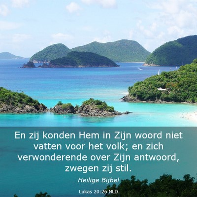 Picture 03 - Lukas 20:26 NLD - En zij konden Hem in Zijn woord niet vatten voor - Bible Verse Picture