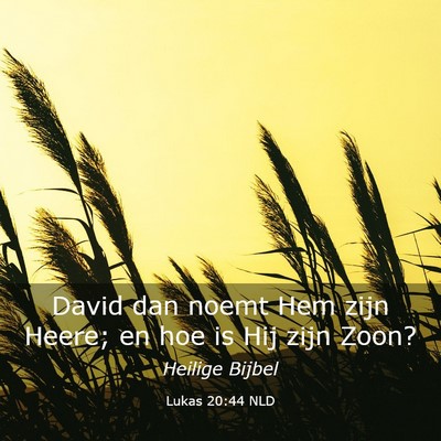 Picture 03 - Lukas 20:44 NLD - David dan noemt Hem zijn Heere; en hoe is Hij - Bible Verse Picture