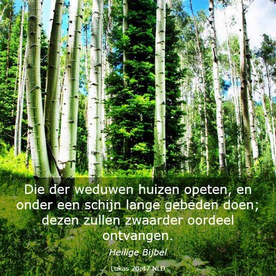 Picture 03 - Lukas 20:47 NLD - Die der weduwen huizen opeten, en onder een - Bible Verse Picture
