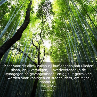 Picture 03 - Lukas 21:12 NLD - Maar voor dit alles, zullen zij hun handen aan - Bible Verse Picture