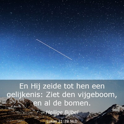 Picture 03 - Lukas 21:29 NLD - En Hij zeide tot hen een gelijkenis: Ziet den - Bible Verse Picture