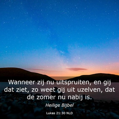 Picture 03 - Lukas 21:30 NLD - Wanneer zij nu uitspruiten, en gij dat ziet, zo - Bible Verse Picture