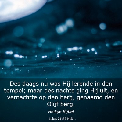 Picture 03 - Lukas 21:37 NLD - Des daags nu was Hij lerende in den tempel; maar - Bible Verse Picture