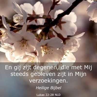 Picture 03 - Lukas 22:28 NLD - En gij zijt degenen, die met Mij steeds gebleven - Bible Verse Picture
