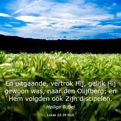 Picture 03 - Lukas 22:39 NLD - En uitgaande, vertrok Hij, gelijk Hij gewoon was, - Bible Verse Picture
