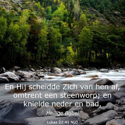 Picture 03 - Lukas 22:41 NLD - En Hij scheidde Zich van hen af, omtrent een - Bible Verse Picture