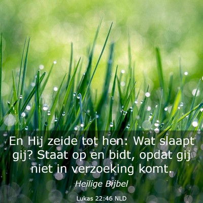 Picture 03 - Lukas 22:46 NLD - En Hij zeide tot hen: Wat slaapt gij? Staat op en - Bible Verse Picture