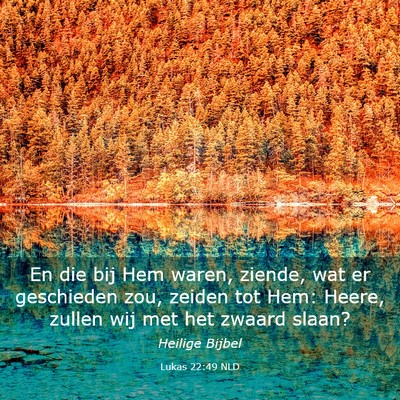 Picture 03 - Lukas 22:49 NLD - En die bij Hem waren, ziende, wat er geschieden - Bible Verse Picture