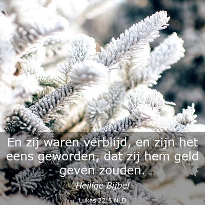 Picture 03 - Lukas 22:5 NLD - En zij waren verblijd, en zijn het eens geworden, - Bible Verse Picture