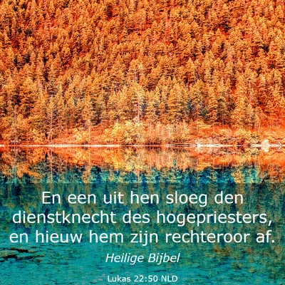 Picture 03 - Lukas 22:50 NLD - En een uit hen sloeg den dienstknecht des - Bible Verse Picture