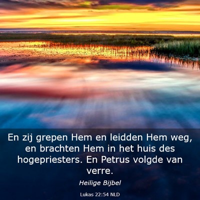 Picture 03 - Lukas 22:54 NLD - En zij grepen Hem en leidden Hem weg, en brachten - Bible Verse Picture