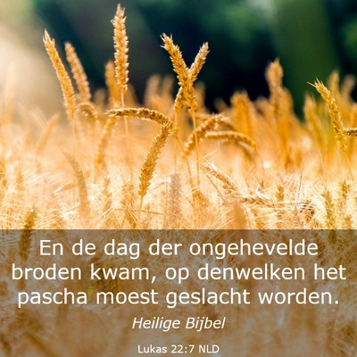 Picture 03 - Lukas 22:7 NLD - En de dag der ongehevelde broden kwam, op - Bible Verse Picture