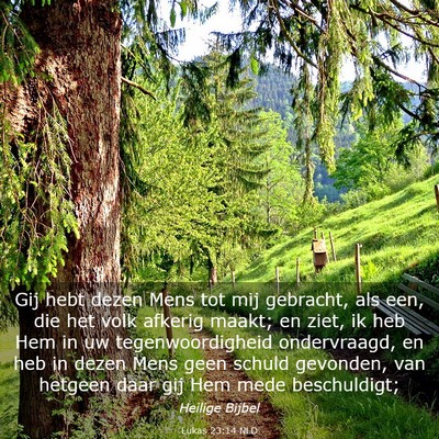 Picture 03 - Lukas 23:14 NLD - Gij hebt dezen Mens tot mij gebracht, als een, - Bible Verse Picture