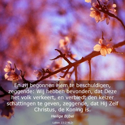 Picture 03 - Lukas 23:2 NLD - En zij begonnen Hem te beschuldigen, zeggende: - Bible Verse Picture