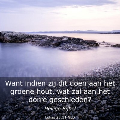 Picture 03 - Lukas 23:31 NLD - Want indien zij dit doen aan het groene hout, wat - Bible Verse Picture