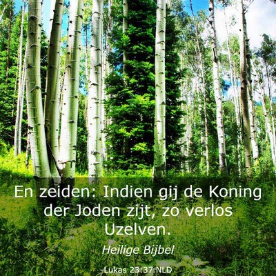 Picture 03 - Lukas 23:37 NLD - En zeiden: Indien gij de Koning der Joden zijt, - Bible Verse Picture