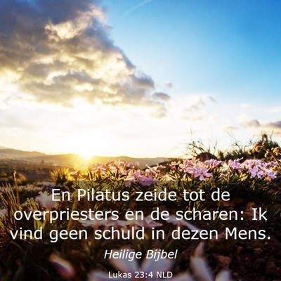Picture 03 - Lukas 23:4 NLD - En Pilatus zeide tot de overpriesters en de - Bible Verse Picture