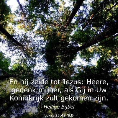 Picture 03 - Lukas 23:42 NLD - En hij zeide tot Jezus: Heere, gedenk mijner, als - Bible Verse Picture