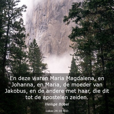 Picture 03 - Lukas 24:10 NLD - En deze waren Maria Magdalena, en Johanna, en - Bible Verse Picture