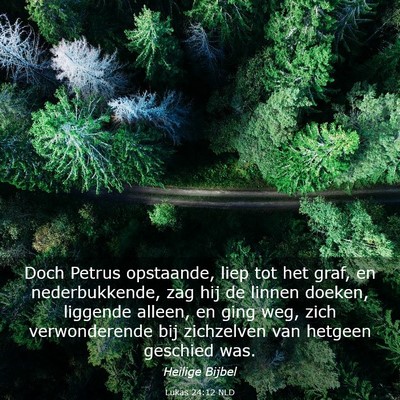 Picture 03 - Lukas 24:12 NLD - Doch Petrus opstaande, liep tot het graf, en - Bible Verse Picture