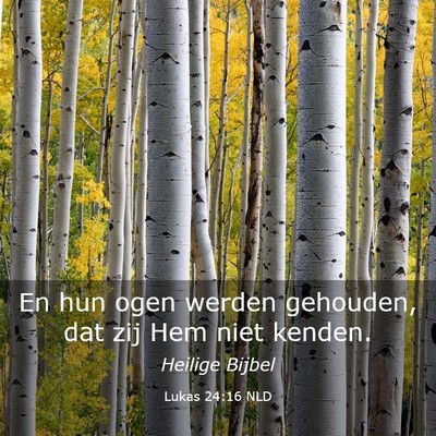 Picture 03 - Lukas 24:16 NLD - En hun ogen werden gehouden, dat zij Hem niet - Bible Verse Picture