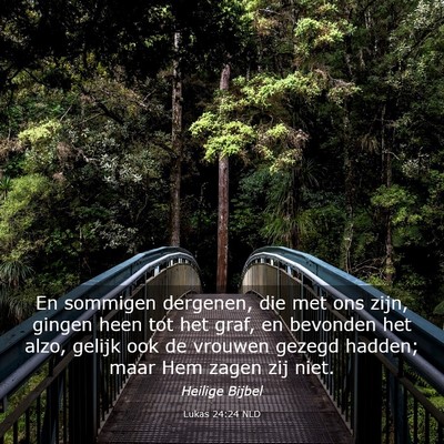 Picture 03 - Lukas 24:24 NLD - En sommigen dergenen, die met ons zijn, gingen - Bible Verse Picture