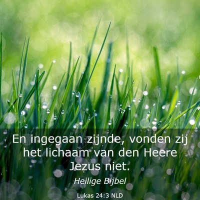 Picture 03 - Lukas 24:3 NLD - En ingegaan zijnde, vonden zij het lichaam van - Bible Verse Picture