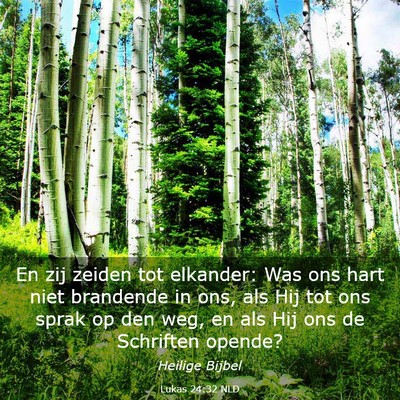 Picture 03 - Lukas 24:32 NLD - En zij zeiden tot elkander: Was ons hart niet - Bible Verse Picture