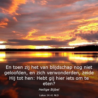 Picture 03 - Lukas 24:41 NLD - En toen zij het van blijdschap nog niet - Bible Verse Picture
