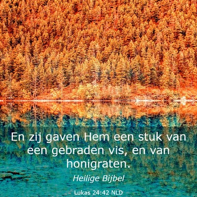 Picture 03 - Lukas 24:42 NLD - En zij gaven Hem een stuk van een gebraden vis, - Bible Verse Picture