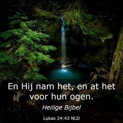 Picture 03 - Lukas 24:43 NLD - En Hij nam het, en at het voor hun - Bible Verse Picture