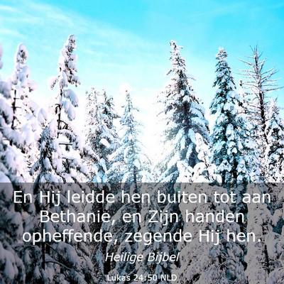 Picture 03 - Lukas 24:50 NLD - En Hij leidde hen buiten tot aan Bethanie, en - Bible Verse Picture