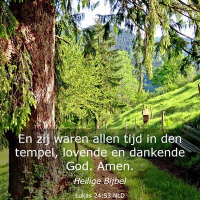 Picture 03 - Lukas 24:53 NLD - En zij waren allen tijd in den tempel, lovende en - Bible Verse Picture