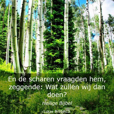 Picture 03 - Lukas 3:10 NLD - En de scharen vraagden hem, zeggende: Wat zullen - Bible Verse Picture
