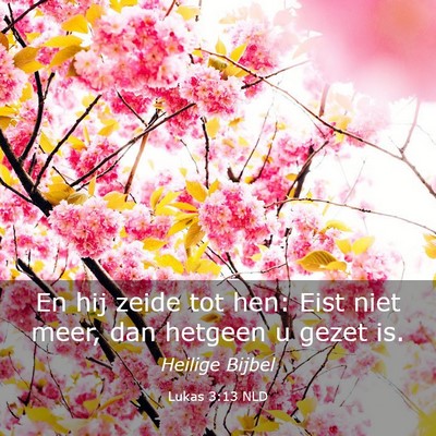 Picture 03 - Lukas 3:13 NLD - En hij zeide tot hen: Eist niet meer, dan hetgeen - Bible Verse Picture