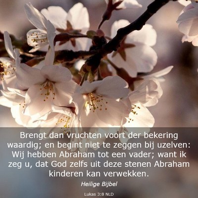 Picture 03 - Lukas 3:8 NLD - Brengt dan vruchten voort der bekering waardig; - Bible Verse Picture