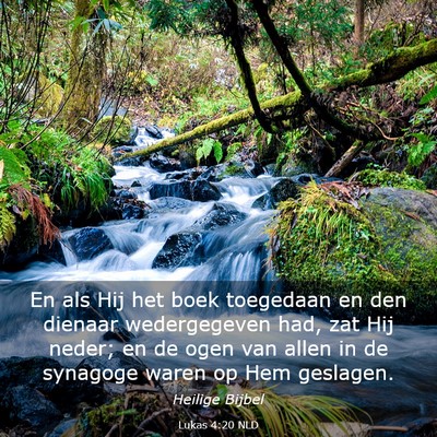 Picture 03 - Lukas 4:20 NLD - En als Hij het boek toegedaan en den dienaar - Bible Verse Picture
