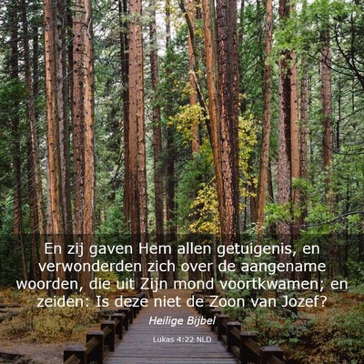 Picture 03 - Lukas 4:22 NLD - En zij gaven Hem allen getuigenis, en - Bible Verse Picture