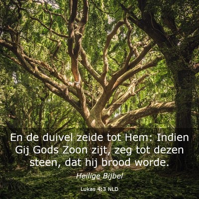 Picture 03 - Lukas 4:3 NLD - En de duivel zeide tot Hem: Indien Gij Gods Zoon - Bible Verse Picture