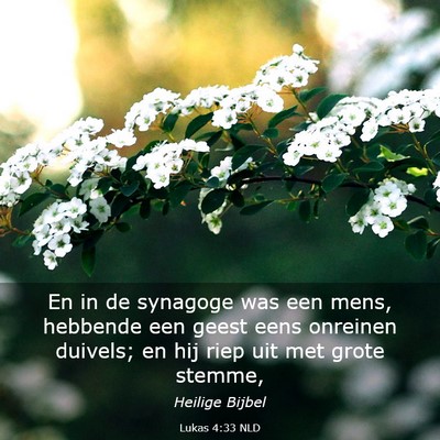 Picture 03 - Lukas 4:33 NLD - En in de synagoge was een mens, hebbende een - Bible Verse Picture