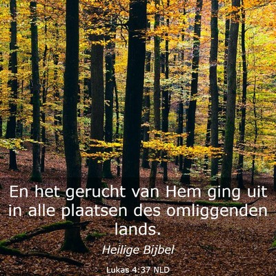 Picture 03 - Lukas 4:37 NLD - En het gerucht van Hem ging uit in alle plaatsen - Bible Verse Picture